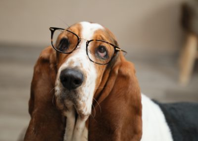 lunettes de repos dans le Haut-Rhin